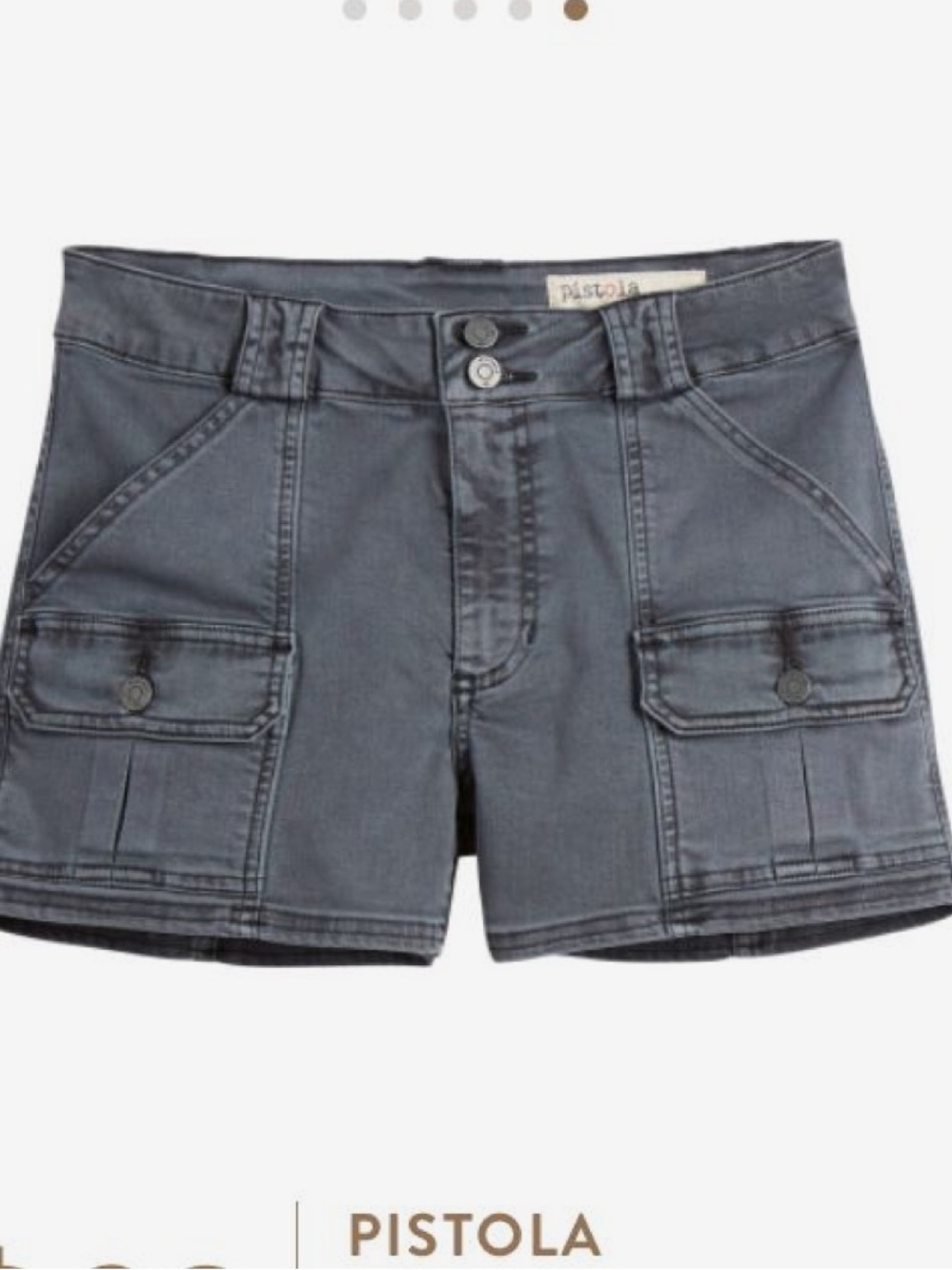 pistola Slate Gray Cargo Shorts with Front Flap Pockets Chester